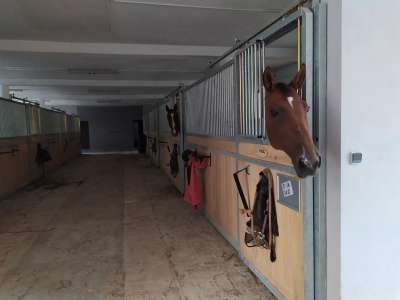 Statek Český Dvůr - Jezdecké tábory, ubytování, koně, víkendy