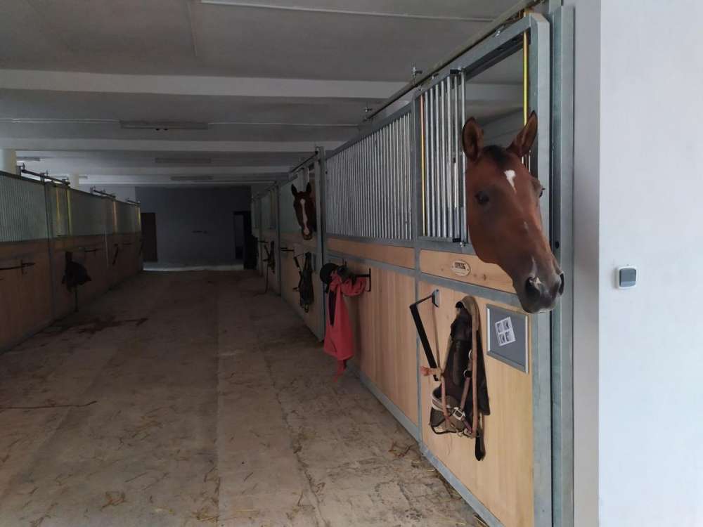 Statek Český Dvůr - Jezdecké tábory, ubytování, koně, víkendy