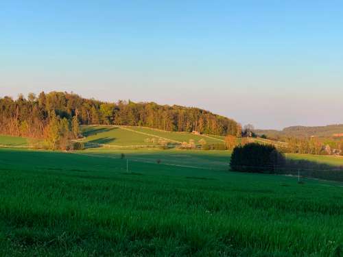 Statek Český Dvůr - Jezdecké tábory, ubytování, koně, víkendy